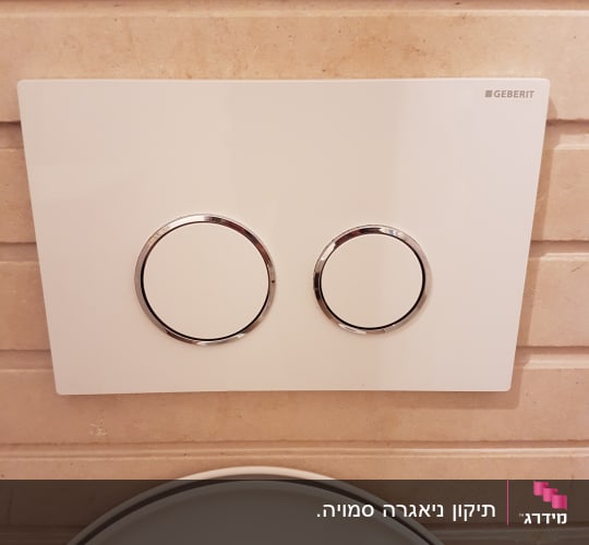 לחצן הדחה כפול על קיר שירותים